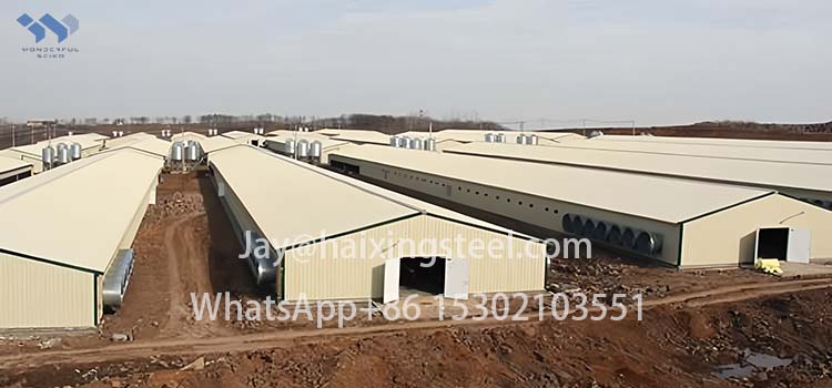 custom steel building