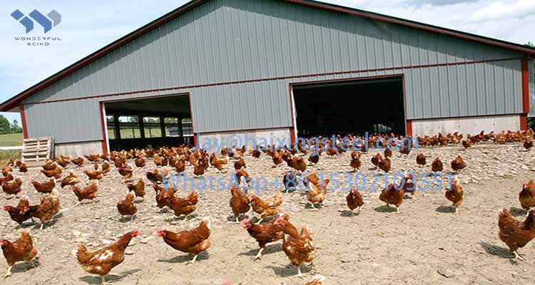 steel frame farm buildings