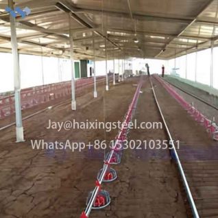 Intelligent broiler breeding house steel structure poultry house