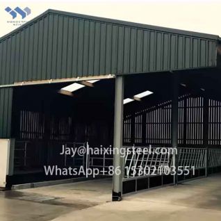 Poultry breeding demonstration base steel farm buildings