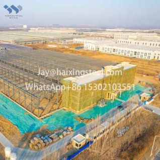 Commercial complex and exhibition center 100x200 steel building