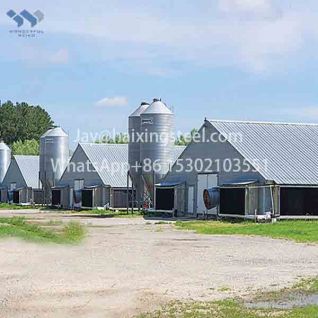 Intensive broiler flat houses steel structure farm